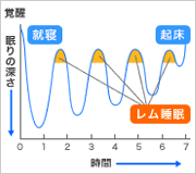 睡眠のメカニズム