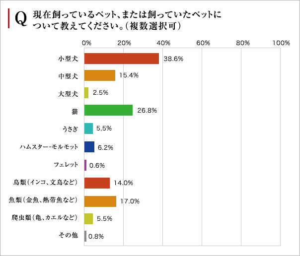 マンションで飼うペットは小型犬と猫が多数