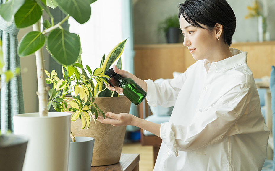 マンションライフを楽しむ